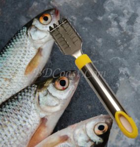 Best Handheld Fish Scaler